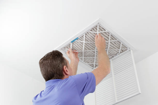 Best Home Air Vent Cleaning  in Williston, FL